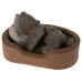 Kotek Kitten Plush Earth Grey Maileg